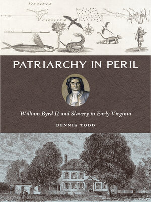 cover image of Patriarchy in Peril